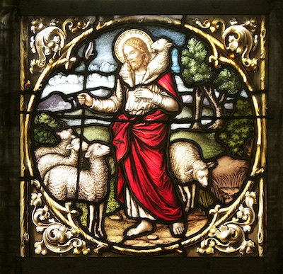 Kirchenfenster zeigt den Guten Hirten und Schafe