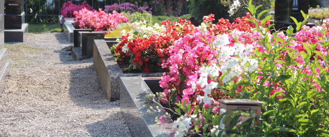 Friedhof Gräber mit blühenden Blumen