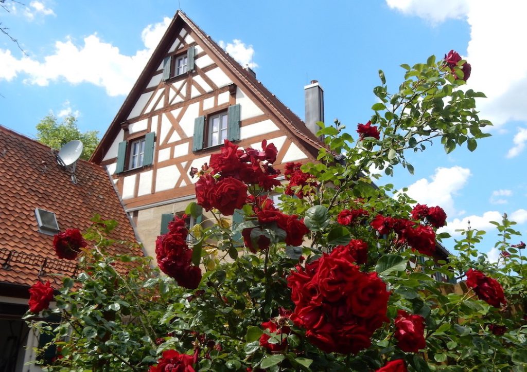 Pfarrgarten mit Rosen